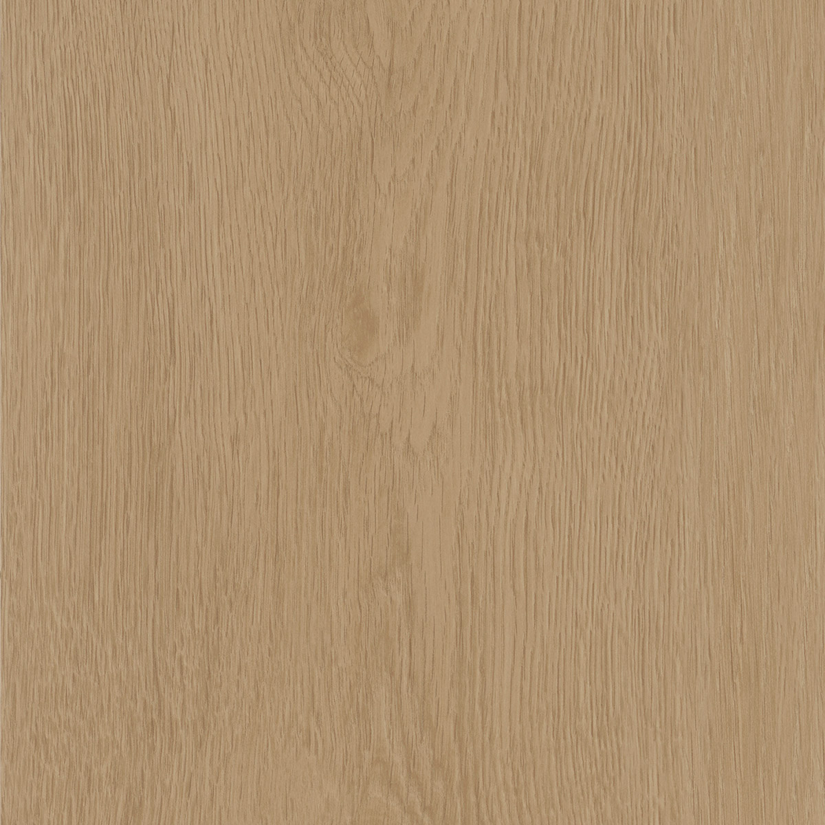Regency Oak - Toast macro shot