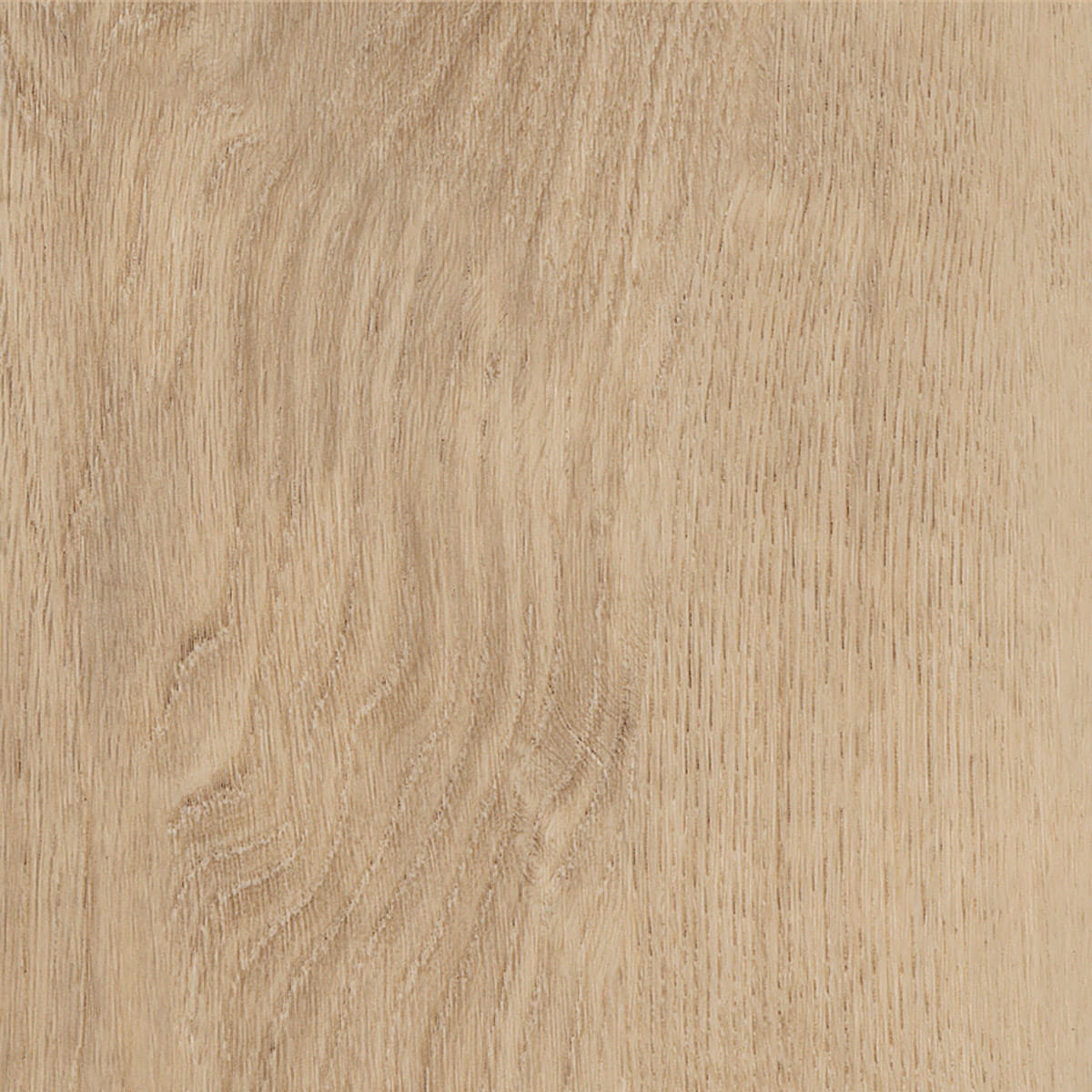 Royal Oak - Mocca