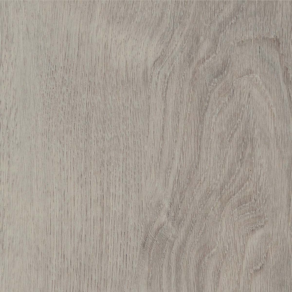 Royal Oak - Mocca
