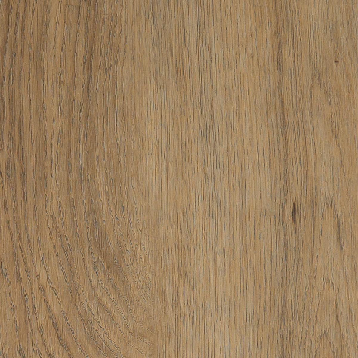 Sienna Oak - Authentique macro shot