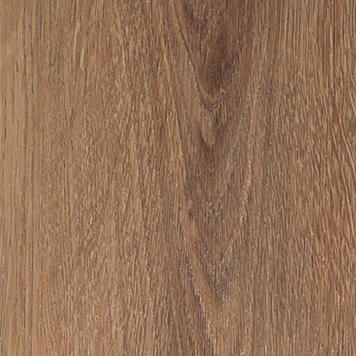 Velvet Oak - Celeste